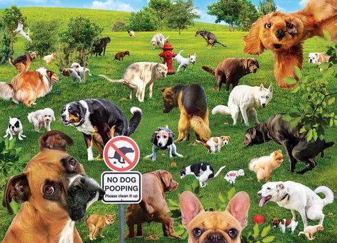 MasterPieces 1000 Piece Jigsaw Puzzle for Adults and Family - Super Dooper Poopers - 19.25"x26.75"