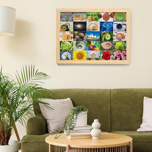 1000 25 BenBen Piece Puzzle for Adults, Fibonacci Spirals in Nature, Jigsaw Puzzles with Letters on Back, Challenging