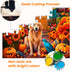 3 Pack 48 Piece Jigsaw Puzzle for Seniors, Large Piece Puzzles for Dementia and Alzheimer's Activities