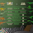 Glow in The Dark Dinosaur Wall Stickers - 10 Large Bright Decals for Bedroom Walls and Ceilings, Set 2