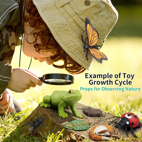 Montessori Life Cycle Learning Kit with Animal Figures and Flash Cards, Realistic Monarch Butterfly Caterpillar Toy