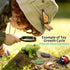 Montessori Life Cycle Learning Kit with Animal Figures and Flash Cards, Realistic Monarch Butterfly Caterpillar Toy