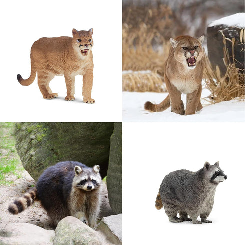 12PCS Set Toymany North American Forest Animal Figurines, Realistic Jungle Zoo Animal Includes