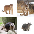 12PCS Set Toymany North American Forest Animal Figurines, Realistic Jungle Zoo Animal Includes
