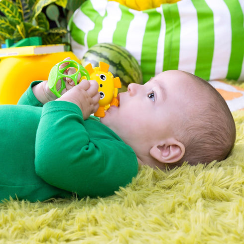 2-Pack Bright Starts Soother Pals Easy-Grasp Teether Toys, Lion and Elephant Characters, BPA Free, Unisex, Ages Newborn