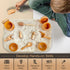 10 Piece Wooden Tool Set for Sensory Bins - Wooden Sensory Tool Sets, Perfect for Kids' Play