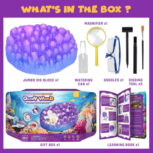 20+ Set 6+ PIBEX Ocean Fossil Dig Kit, Dig up Real Shells & Seasnails, STEM Educational Activity Sea Creatures