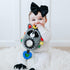 Tummy Squish 'N Play Raccoon Activity Toy- Multi-Sensory Learning Baby Toy - Stroller Toy, Car Seat Toy, Time Toy