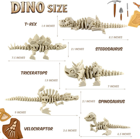 5PCS 3D 3D 3D PowerTRC Printed Dinosaur Skeletons, T-Rex Triceratops Stegosaurus Velociraptor Spinosaurus Fidget Toys