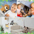 12 8 Inch Set HyDren Pieces Safari Stuffed Animals Jungle Animal Toys Boys Girls Plush Forest Animals Lion Elephant