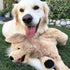 LotFancy 21" Dog Stuffed Animals, Soft Cuddly Golden Retriever Plush Toy, Large Puppy Gift for Kids and Pets