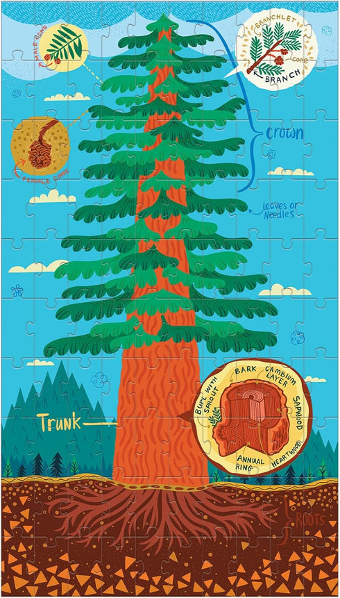 Mudpuppy Plant Anatomy Science Puzzle Set - Three 100-Piece Puzzles with Colorful Illustrations, Ages 6+