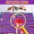 20+ Set 6+ PIBEX Ocean Fossil Dig Kit, Dig up Real Shells & Seasnails, STEM Educational Activity Sea Creatures