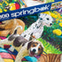 Springbok Playful Pups on Parade, 1000 Piece Puzzle for Adults and Families, Adorable Display of Puppies