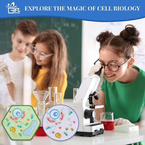 Animal and Plant Cell Anatomy Model, Soft Felt Toy for Early Cell Biology