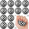 Soulchen 12 Pcs Race Cars Party Favors 1.97'' Stress Balls, Black and