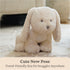 10 GUND Baby Clover Bunny Plush, Bunny Stuffed Animal for Babies and Toddlers, Cream