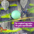 Dodo | Kid's Game | Family Board Game | Co-op | Dexterity | Ages 6+
