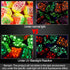 Chivao 50 Pieces Neon Glow Balloons, Blacklight Fluorescent Mini Stars for Party Decoration, Black, Clear