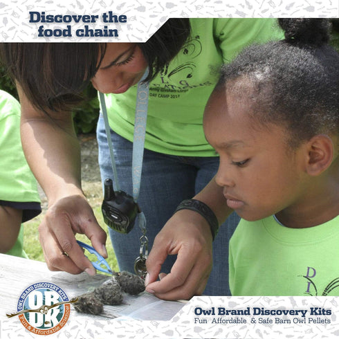 Barn Owl Pellet Kit, Jumbo 2 Inches and Larger, Science Tools & Chart for Teachers, Kids, and Students
