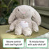 8 0+M Ingenuity Sylvi Cuddle Pal Daytime Baby Soother, Cry Activated, Soothing Songs, - Plush Bunny