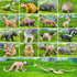 18Pcs Forest Animals Figures - Plastic Woodland Creature Toy Figurines for Kids 3-5 6-12, Small Jungle Animal Baby