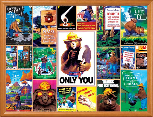 MasterPieces 550 Piece Jigsaw Puzzle - Smokey Bear for Adults, Family, or Youth - 18"x24"