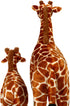 Set Ice King Bear Mom and Baby Stuffed Animals Zoo Wild Animals (Giraffe)