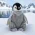 12 Inches The Petting Zoo Penguin Chick Stuffed Animal Plushie, Gifts for Kids, Wild Onez Sealife Animals, Penguin