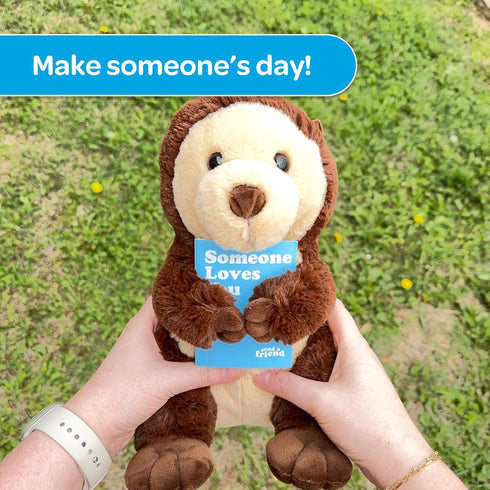 Package, SendAFriend Oliver The Otter Stuffed Animal Care Someone Loves You Box, Great Gift for Any Reason (Miss You