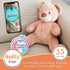 Children's Scavenger Hunt Cards | Toddler Activities for 2-3 Year Olds & Up