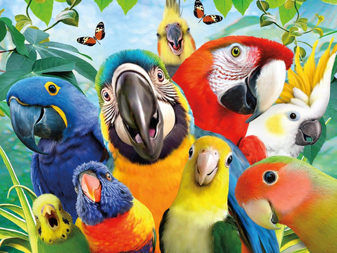 500 Ceaco - Selfies - Perfect Parrot - Piece Jigsaw Puzzle