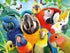 500 Ceaco - Selfies - Perfect Parrot - Piece Jigsaw Puzzle