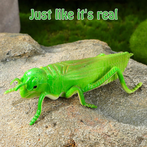 Toyvian 10pcs Plastic Grasshoppers, Insect Figures Toys, Fake Bugs Green for Insect Themed Party Children