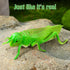 Toyvian 10pcs Plastic Grasshoppers, Insect Figures Toys, Fake Bugs Green for Insect Themed Party Children