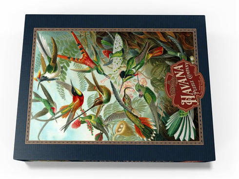 MyPuzzle Hummingbirds Vintage Art Poster, Ernst Haeckel - Premium 500 Piece Jigsaw Puzzle for Adults