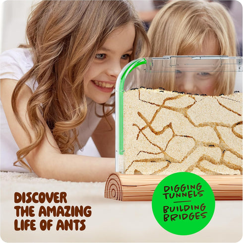 Ant Farm Kit for Kids, Educational Science Gifts, Bug Terrarium House for Boys, Girls & Adults