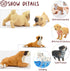 Toymany 12PCS Mini Dog Figurines Playset, Realistic Detailed Plastic Puppy Figures, Hand Painted Tiny Dogs