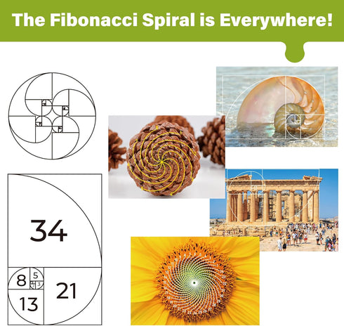 1000 25 BenBen Piece Puzzle for Adults, Fibonacci Spirals in Nature, Jigsaw Puzzles with Letters on Back, Challenging