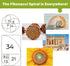 1000 25 BenBen Piece Puzzle for Adults, Fibonacci Spirals in Nature, Jigsaw Puzzles with Letters on Back, Challenging