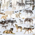 14PCS 3 4 5 6 7, Wolf Toy Animal Figurines, Realistic Plastic Zoo Safari Animal Toys for Toddlers Forest Wolf Animals