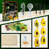GobiDex Amber Dig Kit, Excavate 6 Insects Specimens, STEM Geographic Educational Bugs Toys for Kids Age 6-12