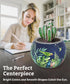 3D Puzzle Planter 80 Pieces - Flower Pot for Bird of Paradise, Home Decor for Indoor Cactus and Succulents