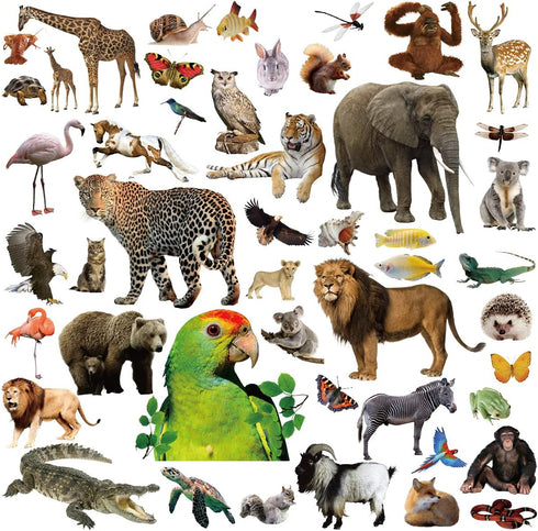 Animal Stickers Jungle Theme, 8 Sheets Wild Safari Decals for Kids Scrapbooking, 400 Pcs Party Favors