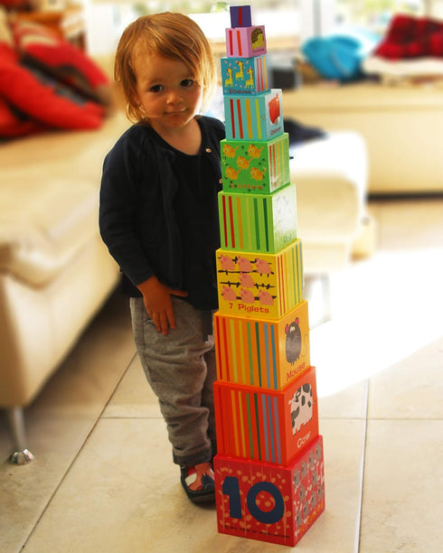 TOWO Wooden Stacking Boxes - Nesting and Sorting Cups, Numbers, Alphabet, Animals Blocks for Toddlers, Educational Toys
