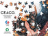 Ceaco – Mystic Moth Lady - 300 Piece Jigsaw Space Saver Puzzle for Smaller Spaces and Surfaces