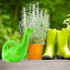 Toddler-Friendly Green Dinosaur Watering Can - Fun Plastic Waterer