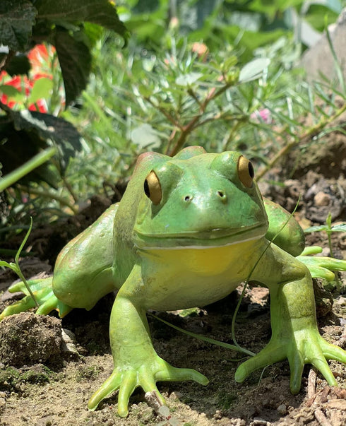 Gemini&Genius Tree Frog Toy Figure for Kids, Realistic Hand Painted Bullfrog Action Figure