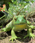 Gemini&Genius Tree Frog Toy Figure for Kids, Realistic Hand Painted Bullfrog Action Figure