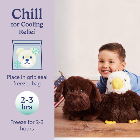 warmies Microwavable & Weighted Stuffed Animals, Chocolate Lab - Heated Stuffed Animal Plushie for Warmth & Comfort